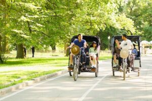 Central Park Pedicab Tours 2